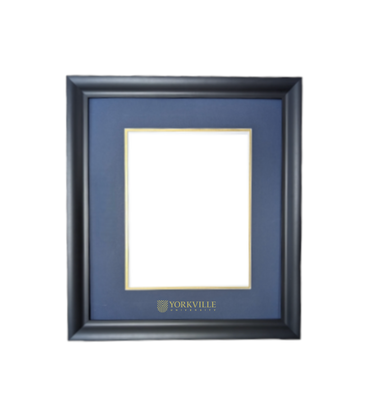 YU Curved-Scoop Profile Diploma Frame - PORTRAIT Diploma - 2024 Graduates