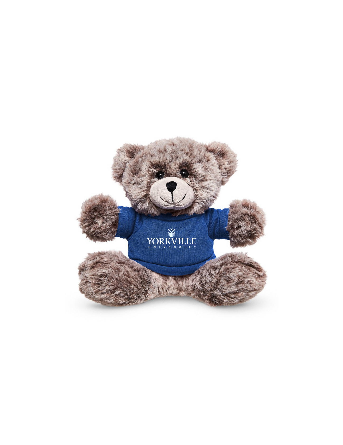 YU Teddy Bear